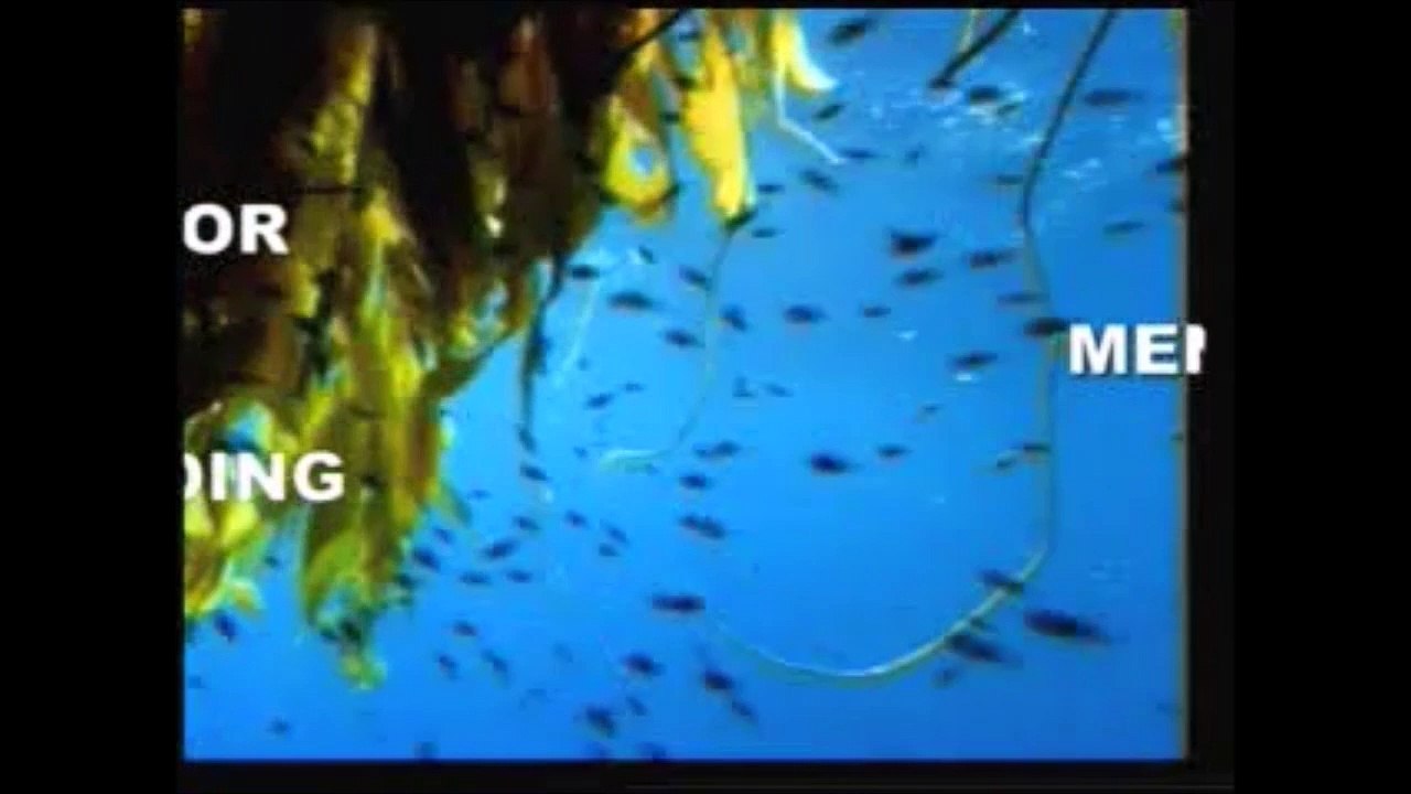 PURPOSE OF CREATION