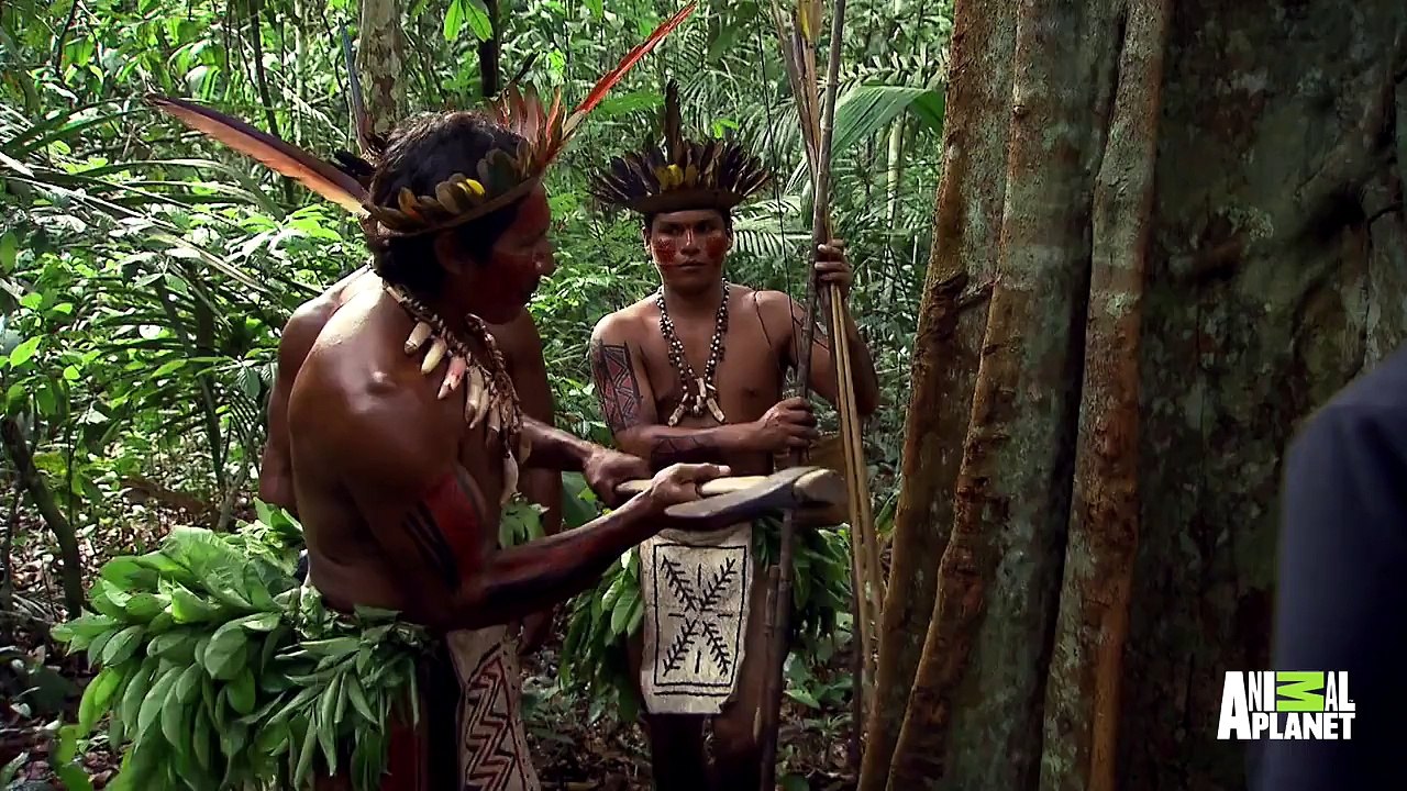 Has the Mapinguari Mystery Been Solved? | Finding Bigfoot