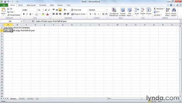 MS Excell Creating a worksheet