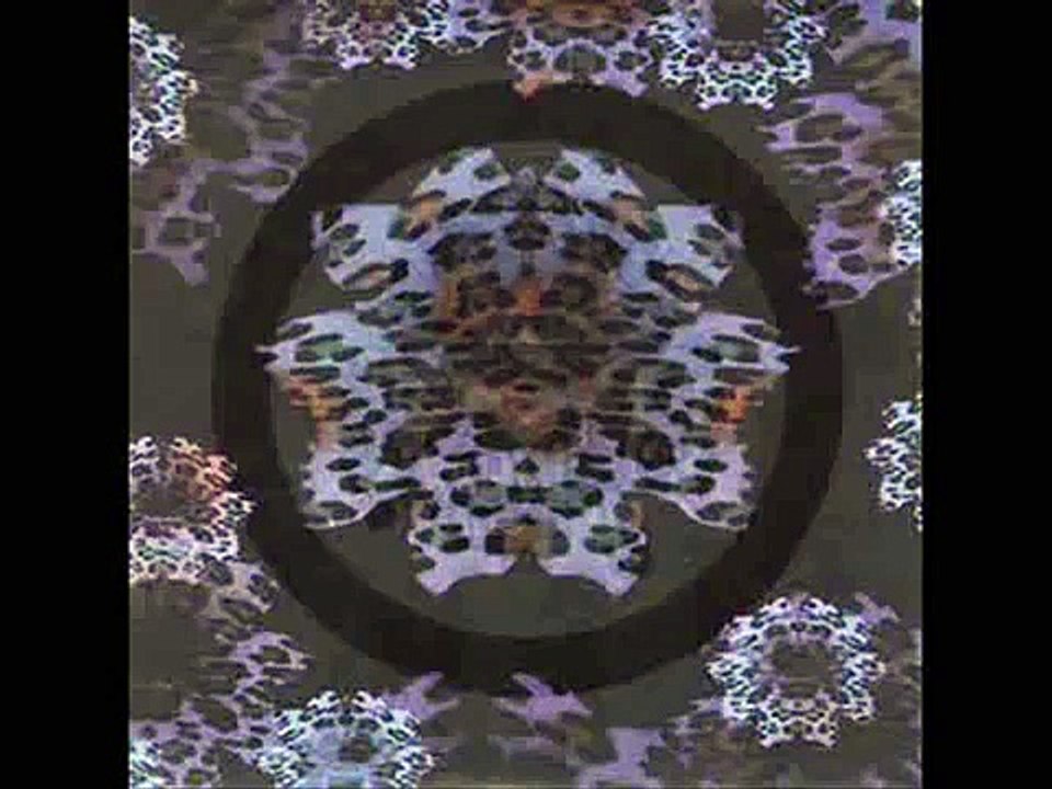 Death in June - Leopard Flowers