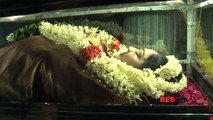 Veteran actress Manjula Vijayakumar, died this afternoon in Ramachandra hospital Chennai.[RED PIX]