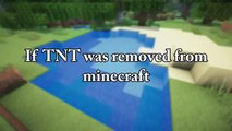 If TNT Got Removed From Minecraft