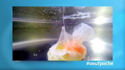 La minute web du 10 juillet 2015