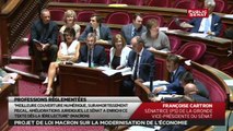 En séance - Projet de loi Macron sur la modernisation de l'économie