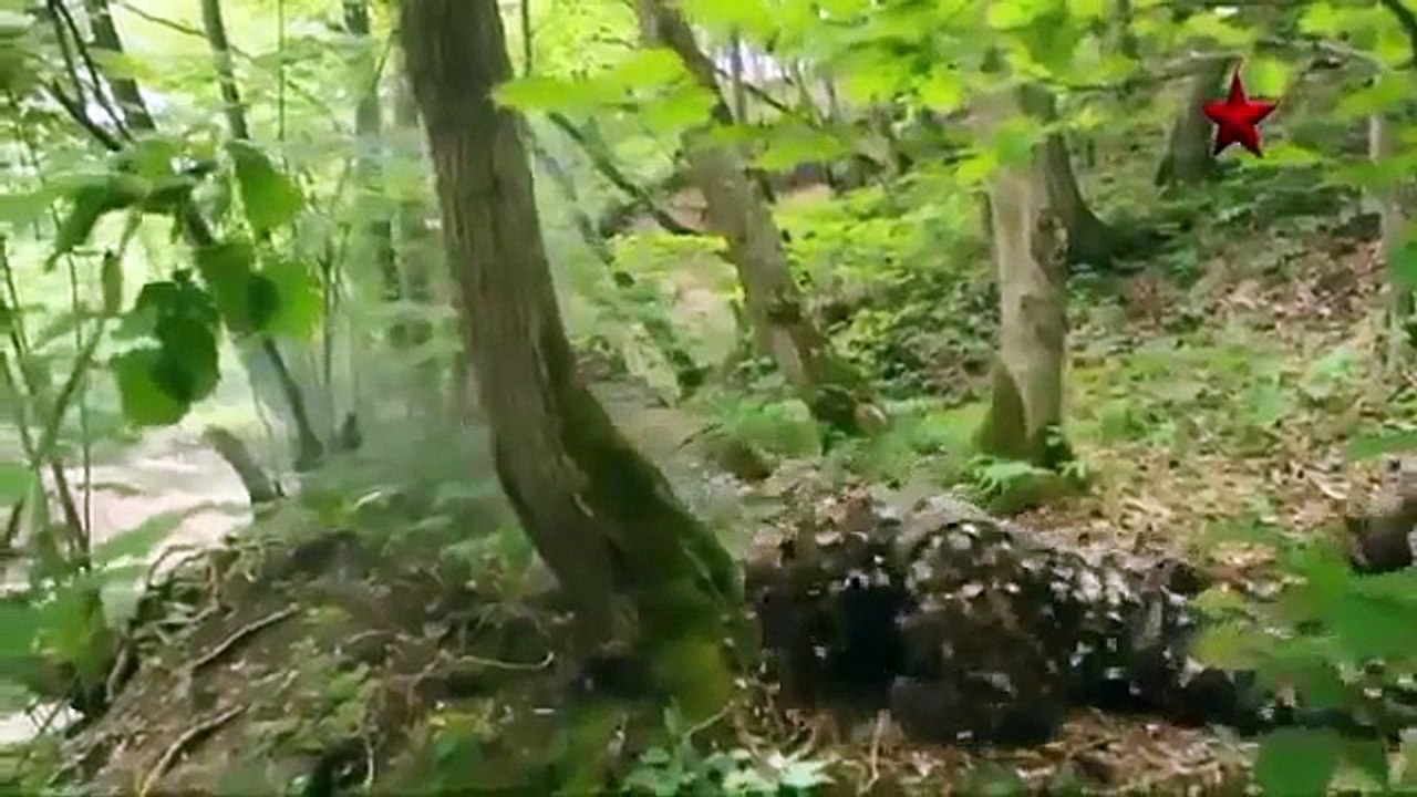 Russian Spetsnaz Army FSB ФСБ Centre 2013 Documentary English Subtitles