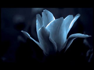 Crystallize - Lindsey Sterling & Allan Z & CaLaDo (zouk remix)