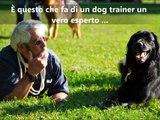 Graeme Sims    Il Linguaggio segreto dei Cani