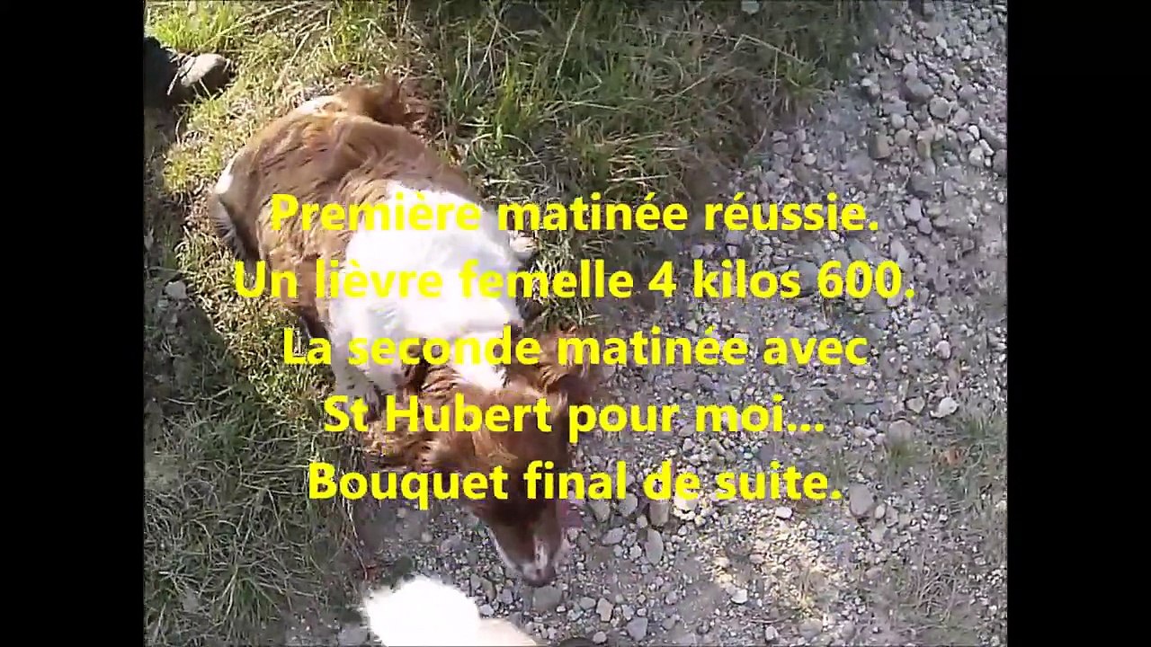 Chasse aux lièvres. 05/10/14 11/10/14.