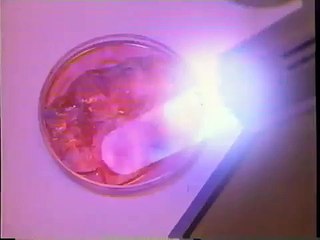 Metamorphosis - The Alien Factor (1990) Trailer (VHS Capture)