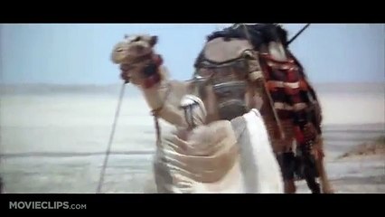 Omar Sharif's legendary entry in the movie Lawrence of Arabia