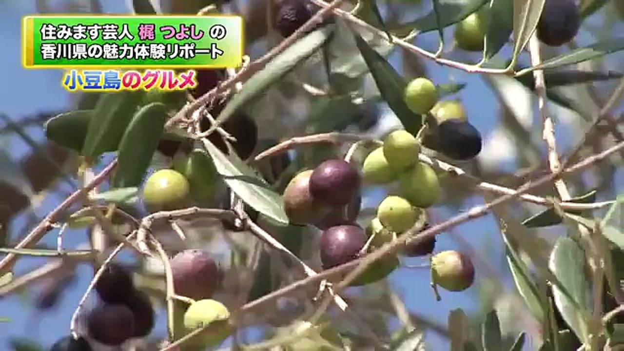 小豆島のグルメ 《香川県》