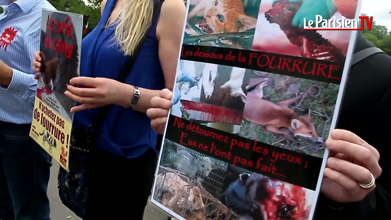 Fashion-week : les "Anti Fourrure" dénoncent le dépeçage d'animaux vivants