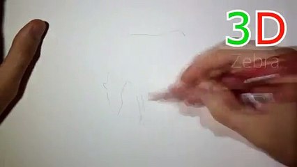 Artist creates epic 3D Zebra illusion - Video Dailymotion_2