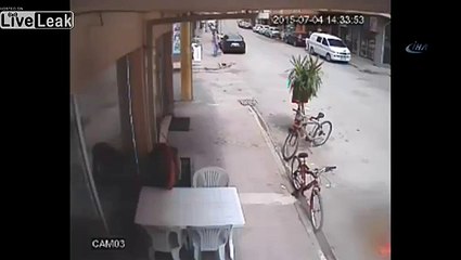 Crazy cat attacks a dog