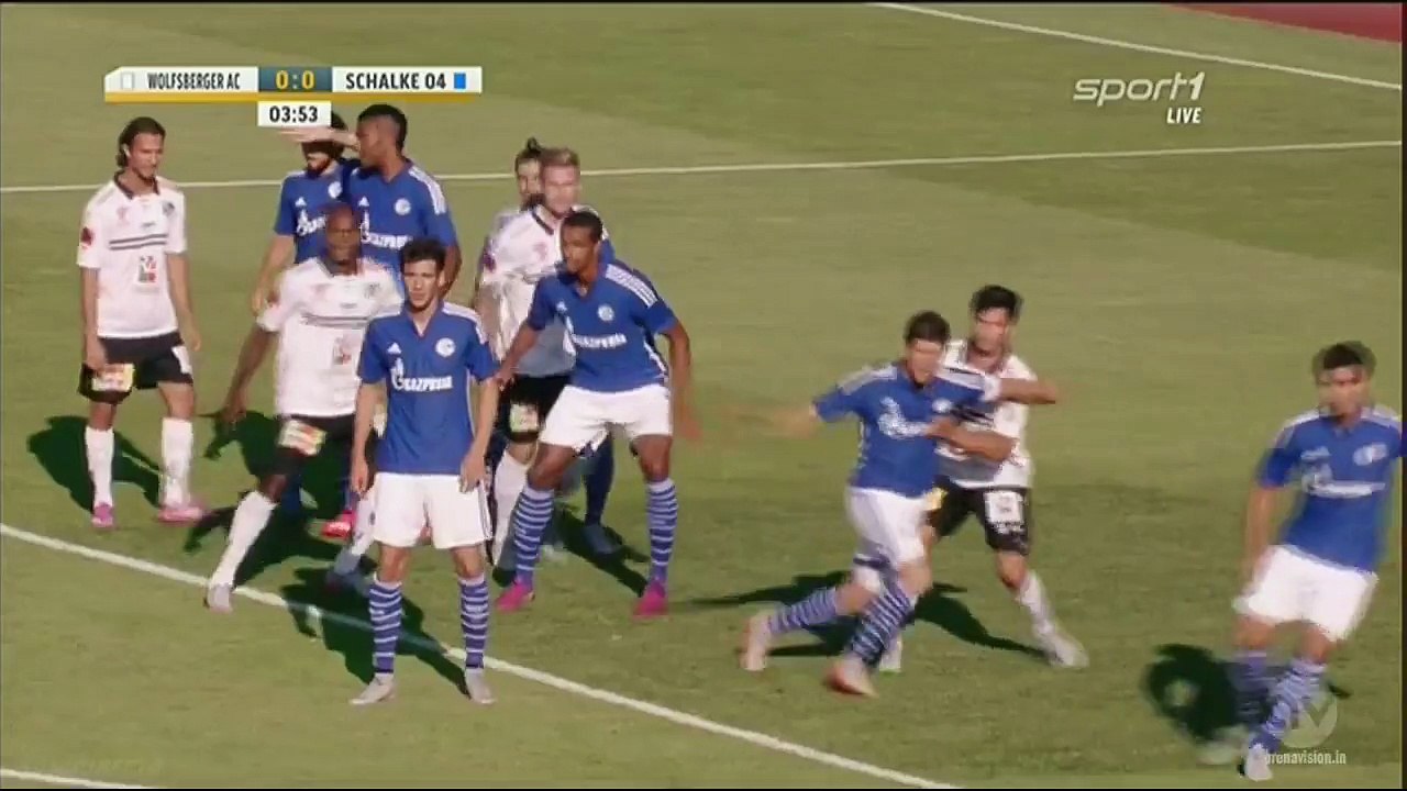 1-0 Daniel Drescher Goal | Wolfsberger AC v. Schalke 04  10.07.2015