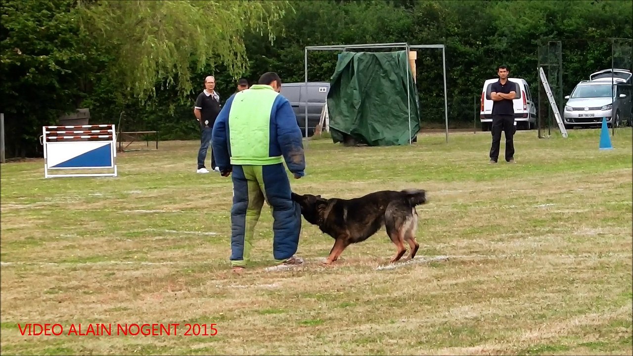 CONCOURS RING A LANGEAIS  IRO CHIEN EN BLANC 2015