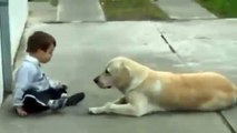 شاهد ماذا يفعل الكلب مع الطفل .. سبحان الله - watch what is the dog doing with a child