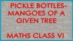 Computing Number of Pickle Bottles that can be made from Mangoes of a Given tree - Maths Class VI