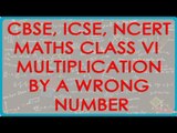 Multiplication by a Wrong Number - CBSE ICSE NCERT Maths Class VI