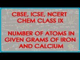 Number of Atoms in given grams of Iron and Calcium - Chemistry Class IX CBSE, ISCE, NCERT