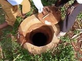 Biogas project in Karatu Tanzania