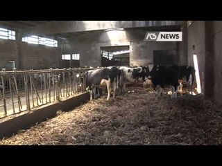 QUOTE LATTE A QUOTA ZERO