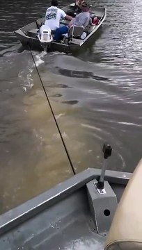 Drunk Guy Gets Knocked Out by a Beer Can!