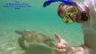 Sea Turtles - Maui, Hawaii (Underwater HD, GoPro Hero 3+)