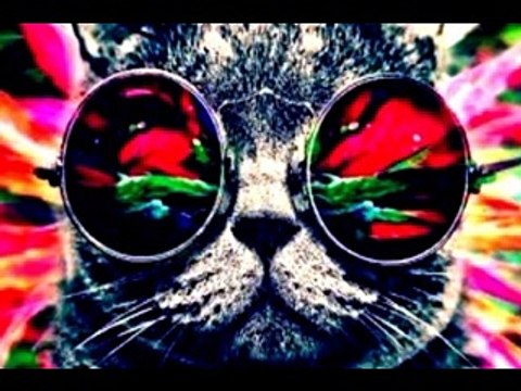 Minimal Deep House [Dj Catan Track]