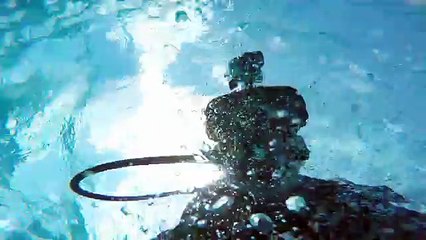 Desde la perspectiva de un tiburón explora el océano