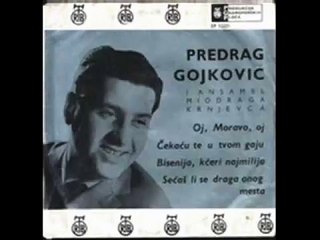 Predrag Cune Gojkovic - Ja bih hteo pesmom da ti kazem