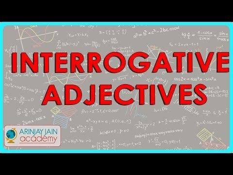 1170.Interrogative Adjectives