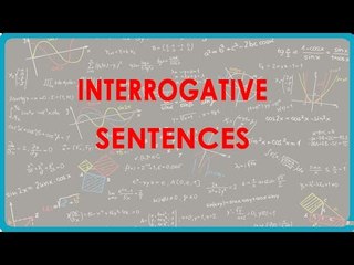 1110.English Language - Interrogative Sentences