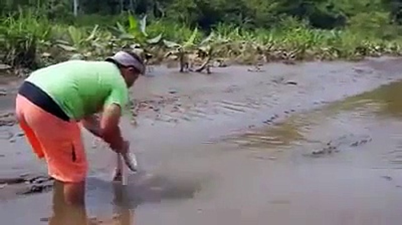 O.M.G.  Grayz Guy feeding a crocodile like a dog
