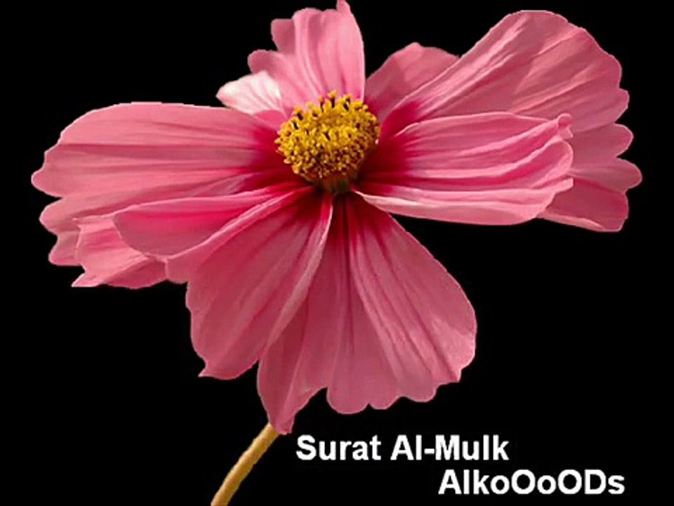 سورة الملك كامله . بصوت القارئ  عبد الباسط عبد الصمد