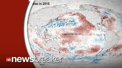 Weather Experts Predict 'El Nino' Conditions to Grow Stronger In Fall and Winter