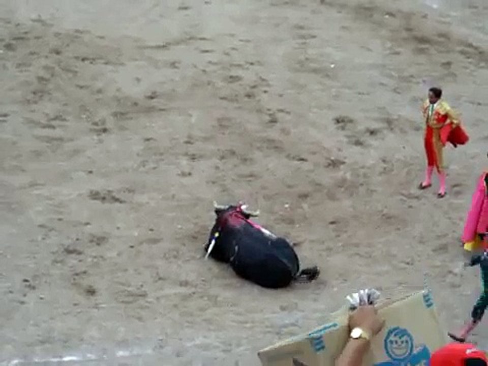 Mexican Bullfighting