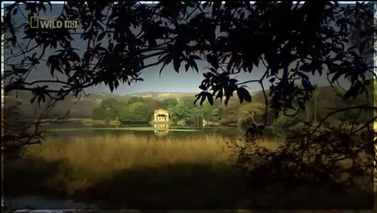 Documentary Animals - Animals Documentary National Geographic -  Wild Animals Documentary 2015