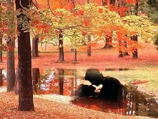 DON BACKY- AD UN PASSO DAL PARADISO.wmv