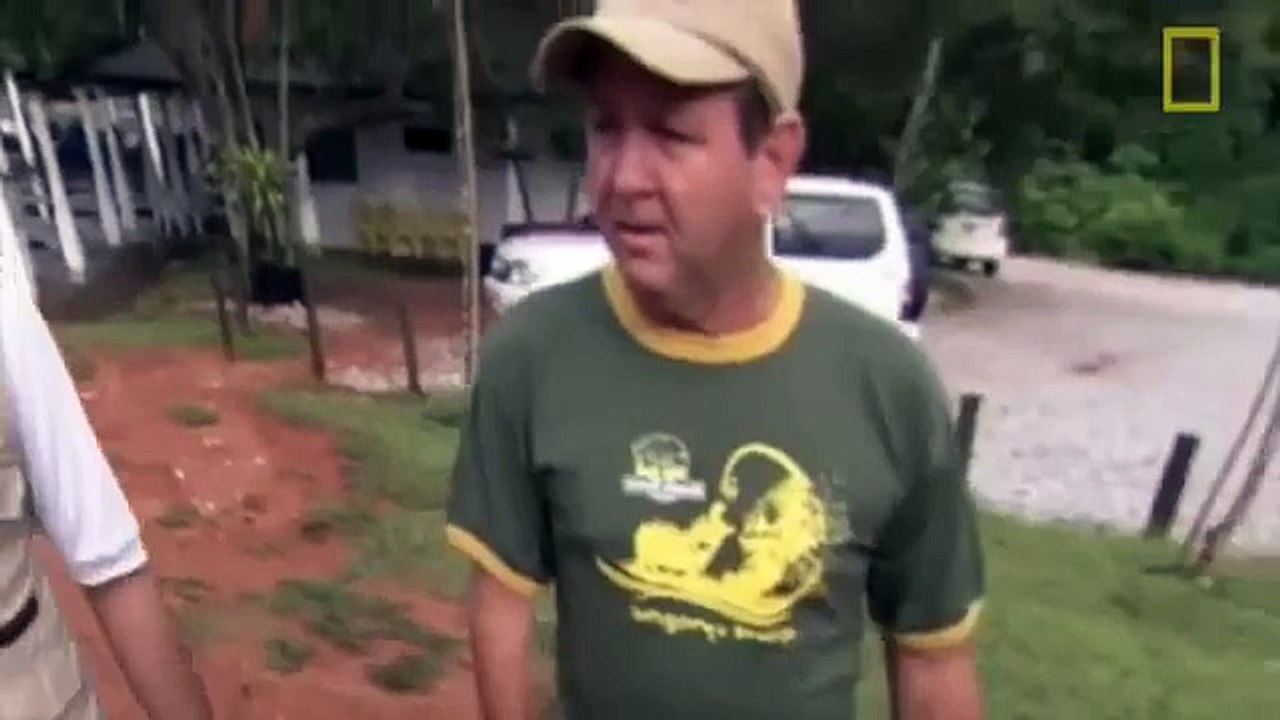 Animals Documentary   Cocaine Hippos   Pablo Escobar and his Zoo   A Special by NATIONAL GEOGRAPHIC