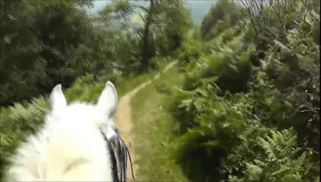 Pyrénées 2015 - Jour 6 - Plateau du Benou - Après midi