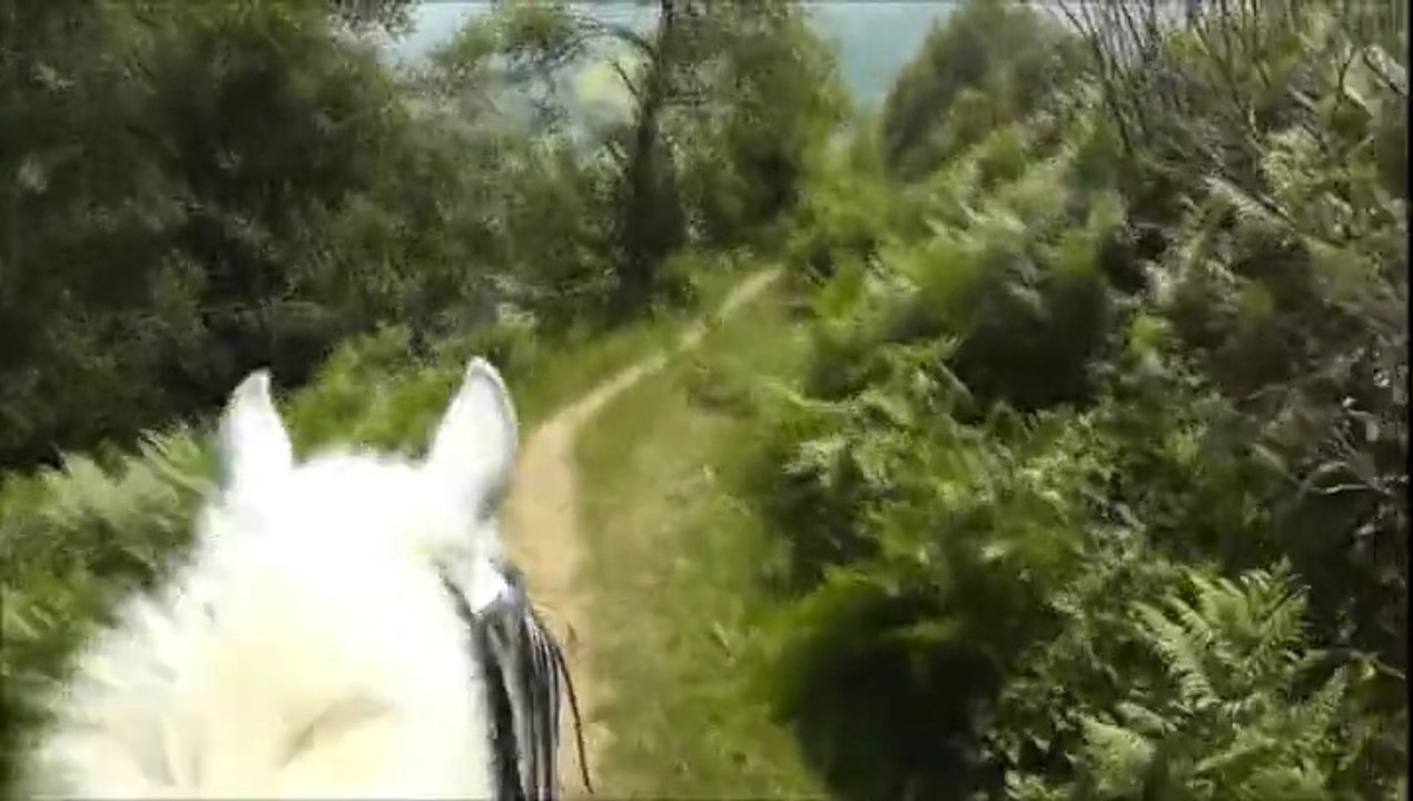 Pyrénées 2015 - Jour 6 - Plateau du Benou - Après midi