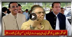Natha Singh Vs Prem Singh One and Same Thing, Excellent Example By Hassan Nisar On Zardari & Nawaz