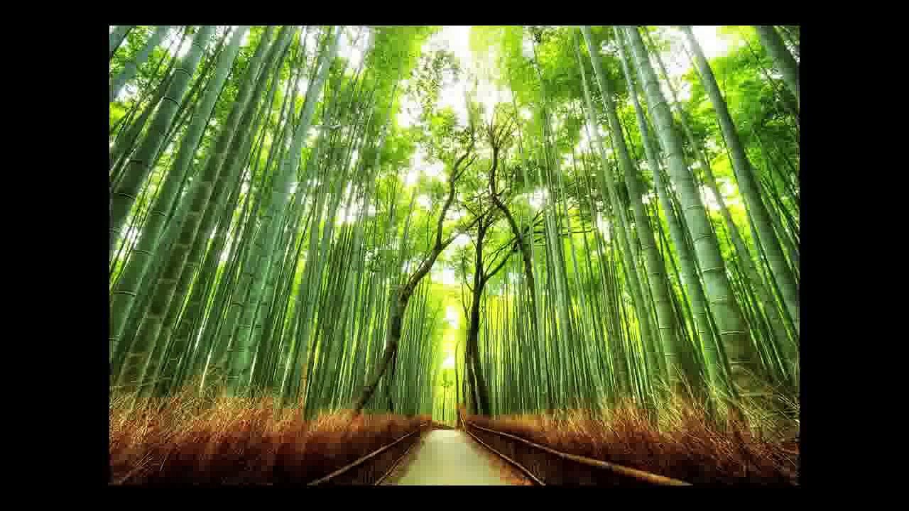 Most Amazing Photos of Art, Illusions, Nature