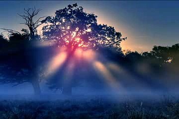 Qayamat ke din Har Insan afsos karega by maulana tariq jameel