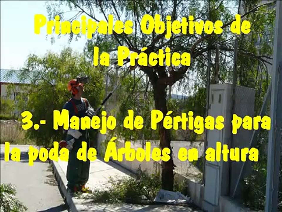 Manejo de Desbrozadoras y Pértigas para poda de árboles