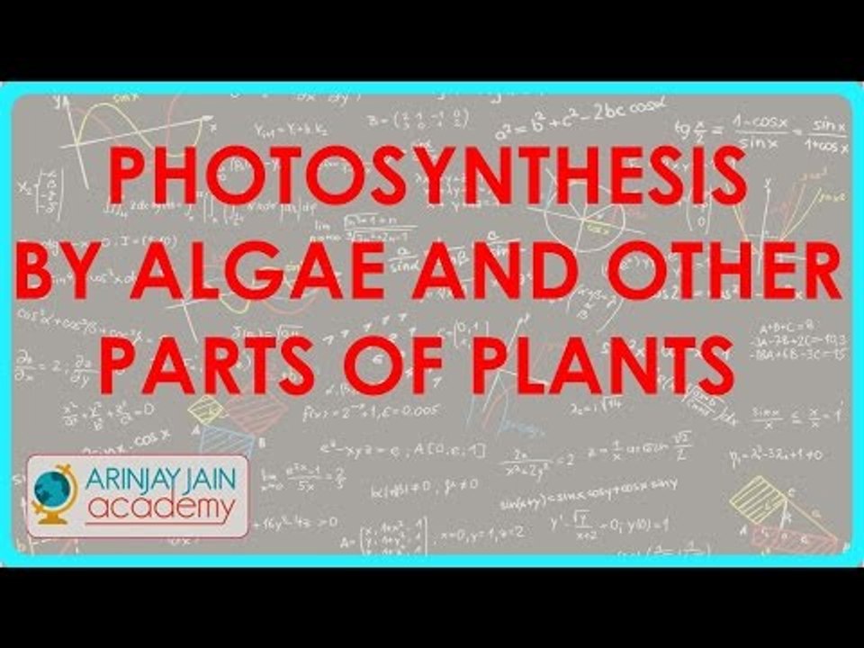 1005.Photosynthesis by Algae and other parts of Plants