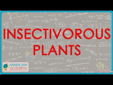 1016. Insectivorous Plants