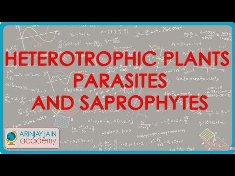 1017. Heterotrophic Plants Parasites and Saprophytes