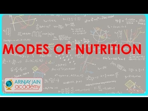 1007.Modes of Nutrition